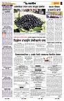 page- 6
